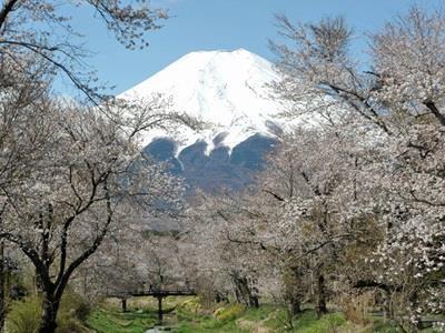 Pension Sumomo No Ki Oshino Exterior photo
