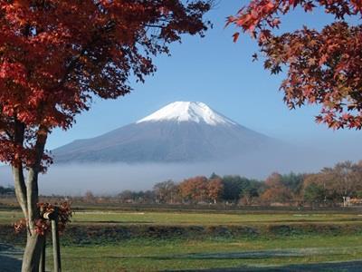 Pension Sumomo No Ki Oshino Exterior photo